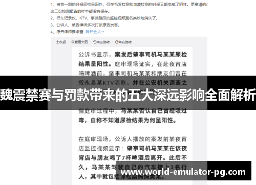 魏震禁赛与罚款带来的五大深远影响全面解析 魏震禁赛与罚款带来的五大深远影响全面解析