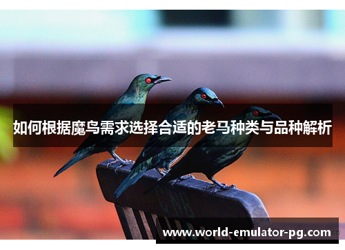 如何根据魔鸟需求选择合适的老马种类与品种解析 如何根据魔鸟需求选择合适的老马种类与品种解析