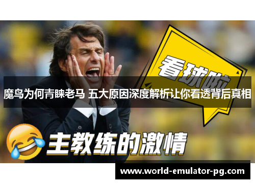 魔鸟为何青睐老马 五大原因深度解析让你看透背后真相