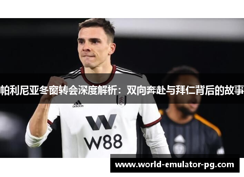 帕利尼亚冬窗转会深度解析：双向奔赴与拜仁背后的故事