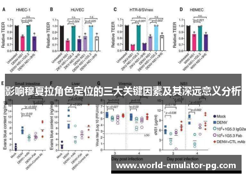 影响穆夏拉角色定位的三大关键因素及其深远意义分析
