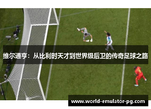 维尔通亨：从比利时天才到世界级后卫的传奇足球之路