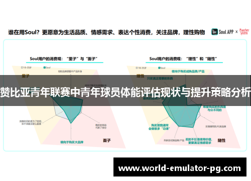 赞比亚青年联赛中青年球员体能评估现状与提升策略分析